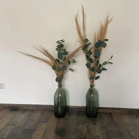 Proche De Strasbourg Apartament *